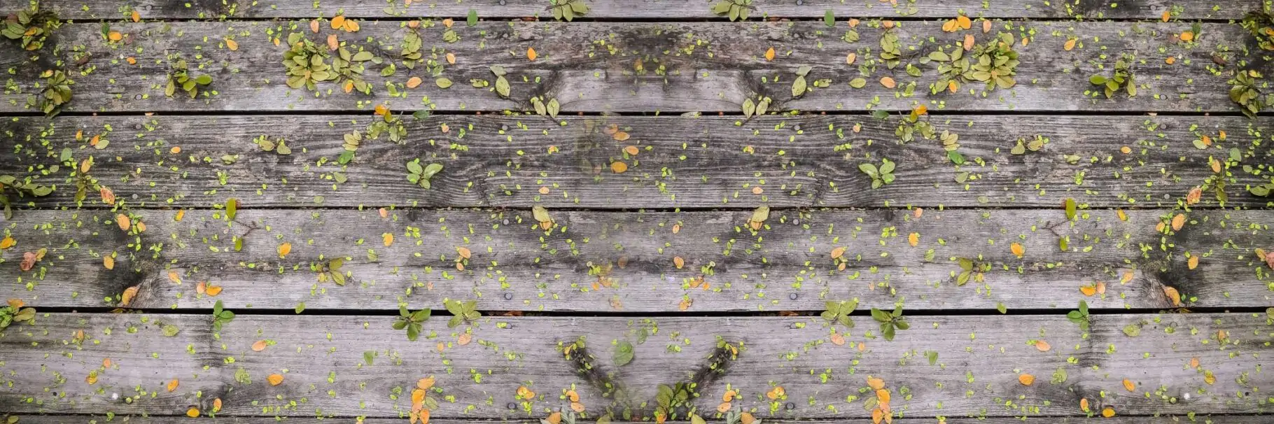 free 3D textures HD wood affiche