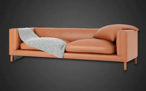 Modèle 3D de Dives Soft Italia, téléchargement gratuit, licence CC0, avec polycount et aperçu du rendu