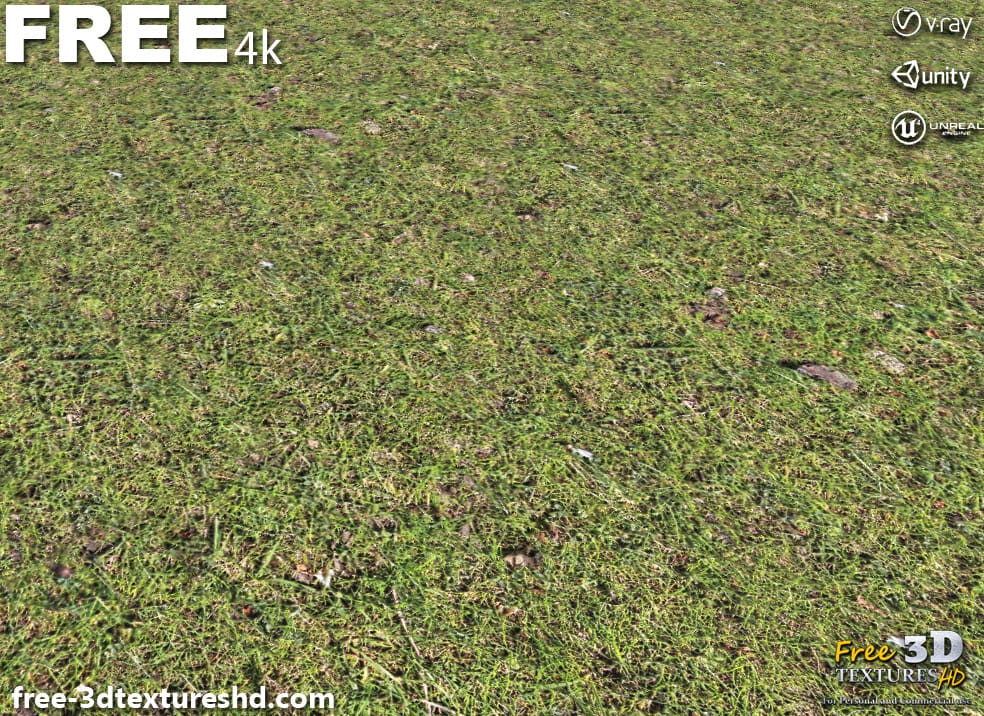 Textures 3D de sol en herbe PBR haute résolution Téléchargement gratuit 4K Unity Unreal Vray