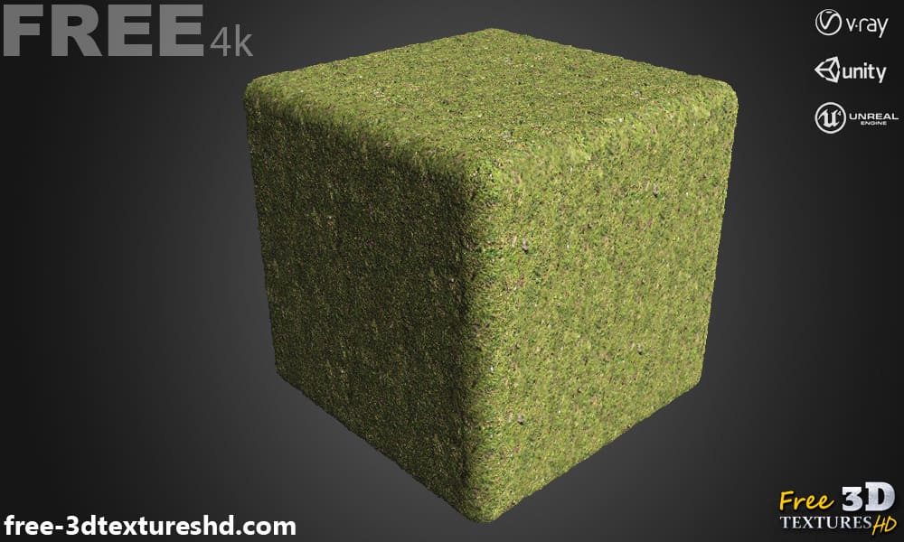 Textures 3D de sol en herbe PBR haute résolution Téléchargement gratuit 4K Unity Unreal Vray