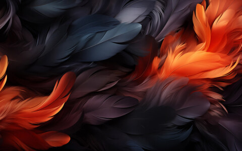 Fond d'écran abstrait plumes en mouvement HD 4K pour ordinateur de bureau et téléphone téléchargement gratuit
