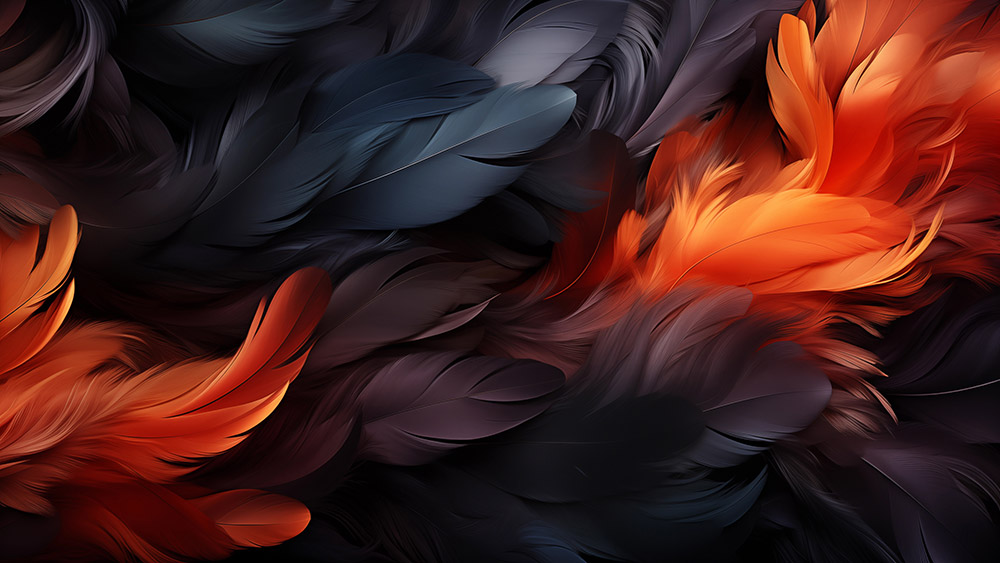 Fond d'écran abstrait plumes en mouvement HD 4K pour ordinateur de bureau et téléphone téléchargement gratuit