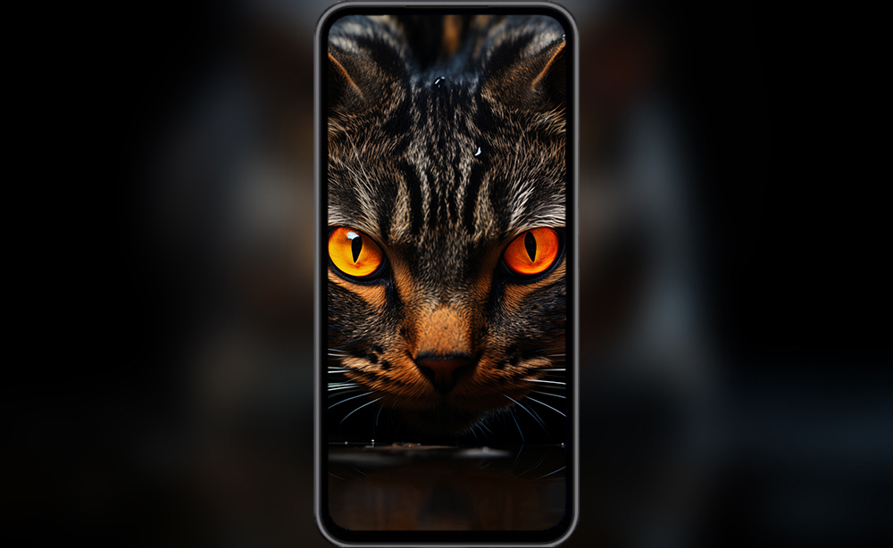 Fond d'écran ultra HD 4K de chat noir pour ordinateur de bureau, ordinateur portable, iPhone et téléphone à télécharger gratuitement