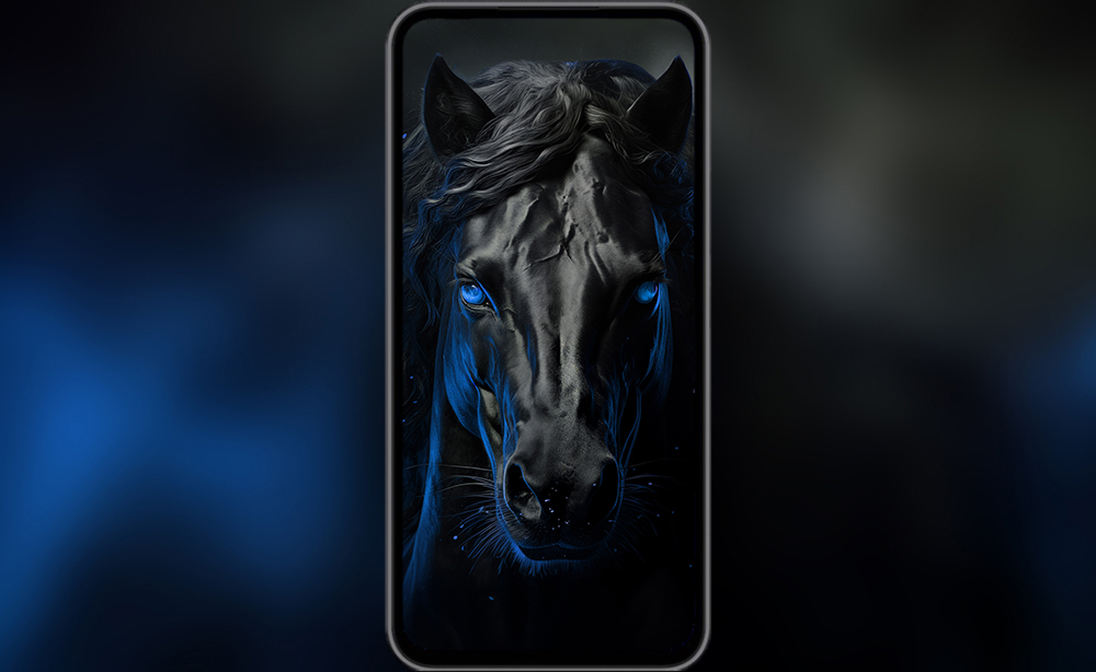 Fond d'écran ultra HD 4K de cheval noir pour ordinateur de bureau, ordinateur portable, iPhone et téléphone à télécharger gratuitement