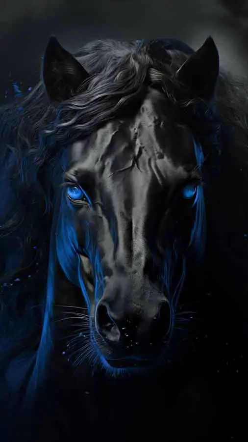 Black horse HD wallpaper 4K free download for iphone and mobile Phone