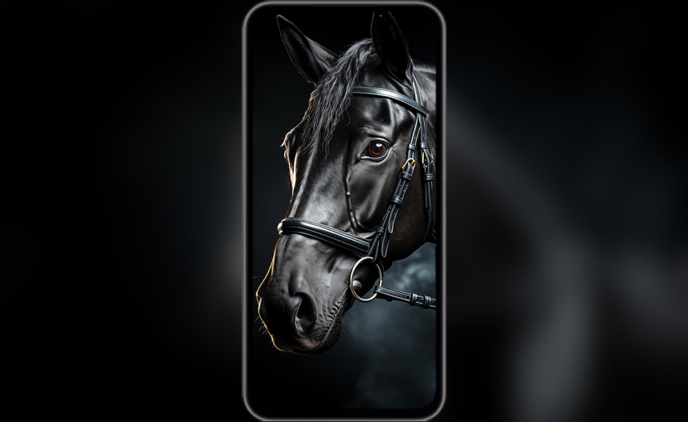 fond d'écran ultra HD 4K de cheval noir en gros plan pour ordinateur de bureau, ordinateur portable, iPhone et téléphone téléchargement gratuit