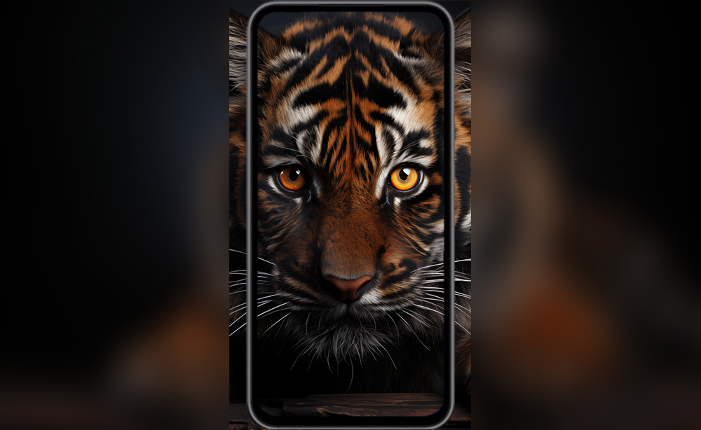 Fond d'écran bébé tigre ultra HD 4K pour ordinateur de bureau, ordinateur portable, iPhone et téléphone téléchargement gratuit