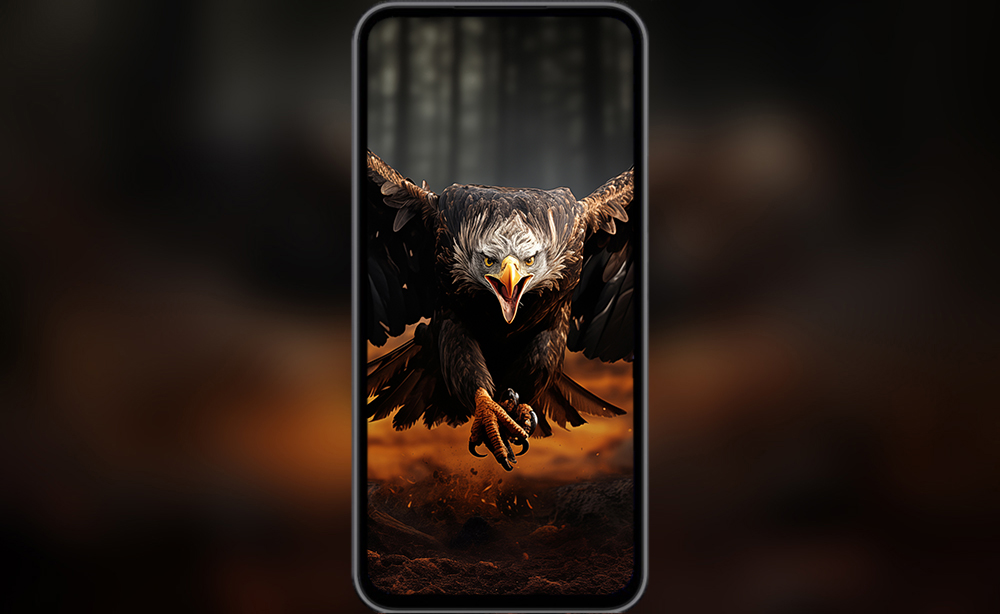 Aigle à tête blanche fond d'écran ultra HD 4K pour ordinateur de bureau, ordinateur portable, iPhone et téléphone téléchargement gratuit