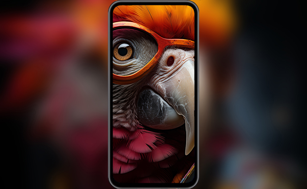 Fond d'écran ultra HD 4K de perroquet coloré cool pour ordinateur de bureau et téléphone téléchargement gratuit