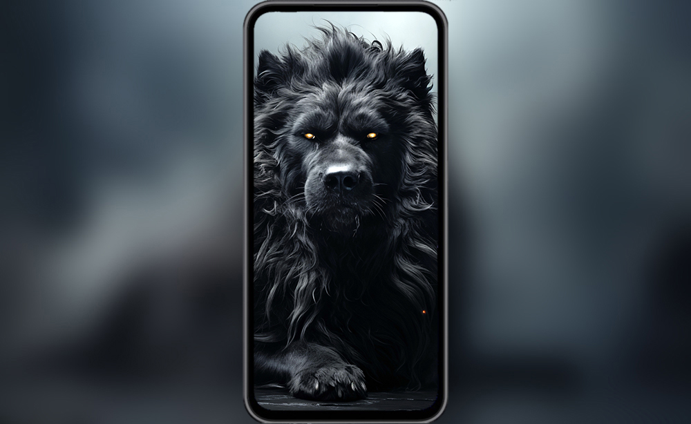 Fond d'écran loup noir ultra HD 4K pour ordinateur de bureau, portable, iPhone et téléphone à télécharger gratuitement