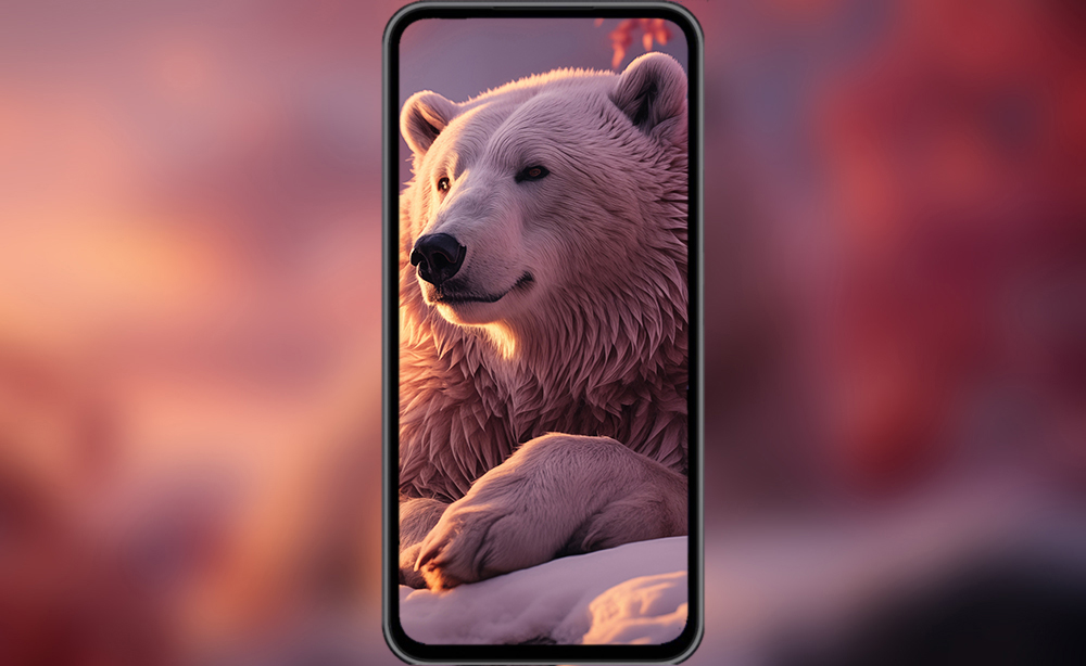 Ours polaire au coucher du soleil fond d'écran ultra HD 4K pour Desktop laptop iphone and Phone free download