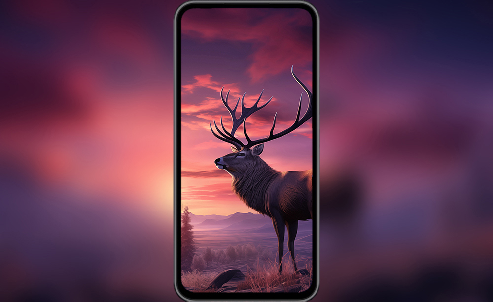 cerf au coucher du soleil fond d'écran ultra HD 4K pour ordinateur de bureau, ordinateur portable, iPhone et téléphone téléchargement gratuit