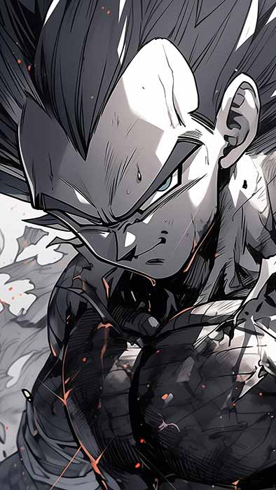 Fond d'écran Dragon Ball ultra HD, Vegeta en noir et blanc en 4K, téléchargement gratuit pour PC, téléphone portable et iPhone