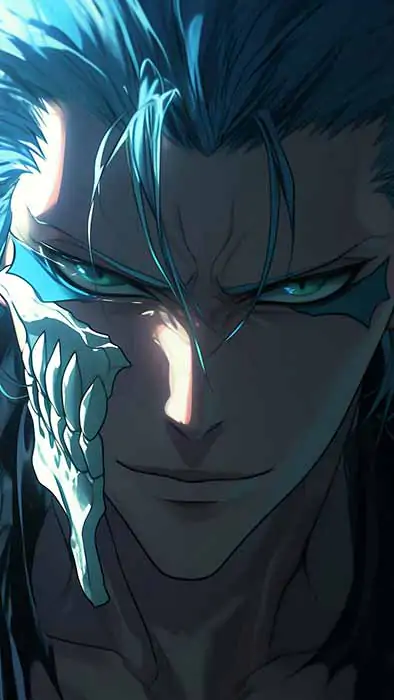 Grimmjow Jaegerjaquez close-up wallpaper 4k from Bleach anime Ultra HD, free download for desktop and mobile, high-resolution JPG