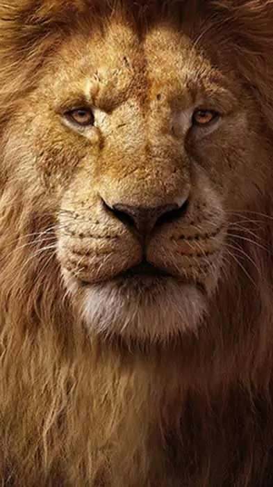 Mufasa The Lion King Wallpaper 4k Ultra HD sunset background free Download for mobile phone and iphone
