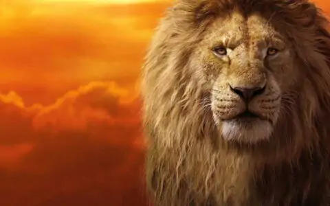 Mufasa The Lion King Wallpaper 4k Ultra HD sunset background free Download for desktop and laptop