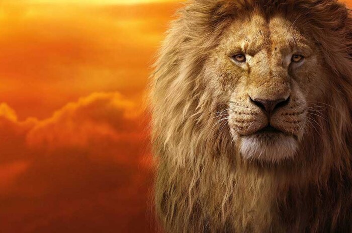 Mufasa The Lion King Wallpaper 4k Ultra HD sunset background free Download for desktop and laptop