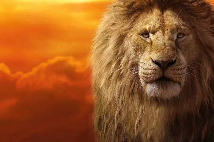 Mufasa The Lion King Wallpaper 4k Ultra HD sunset background free Download for desktop and laptop