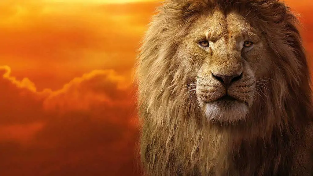 Mufasa The Lion King Wallpaper 4k Ultra HD sunset background free Download for desktop and laptop
