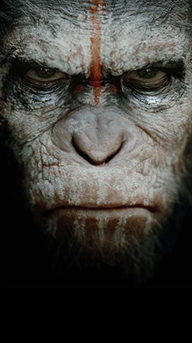 Planet of apes movie Wallpaper 4K Ultra HD Free Download for mobile phone and iphone