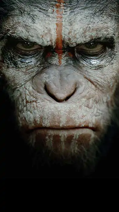 Planet of apes movie Wallpaper 4K Ultra HD Free Download for mobile phone and iphone