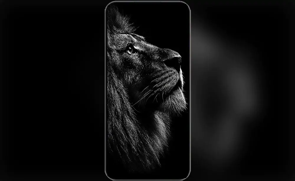 Majestic black and white lion portrait wallpaper 4K HD showing powerful male lion in dramatic side profile against dark background for phone