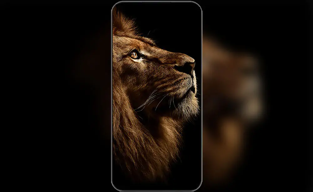 Fonds d'écran de lion doré époustouflants en 4K et HD à télécharger gratuitement. Portrait majestueux de lion brun aux yeux perçants, roi de la jungle pour ordinateur de bureau et mobile.