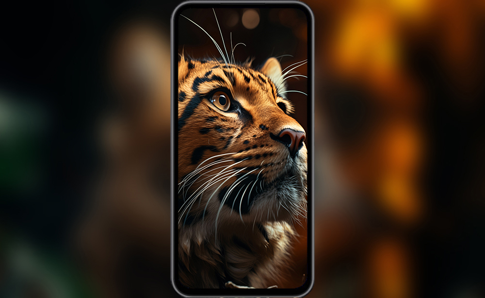 Leopard HD wallpaper 4K free download for Desktop laptop and Phones