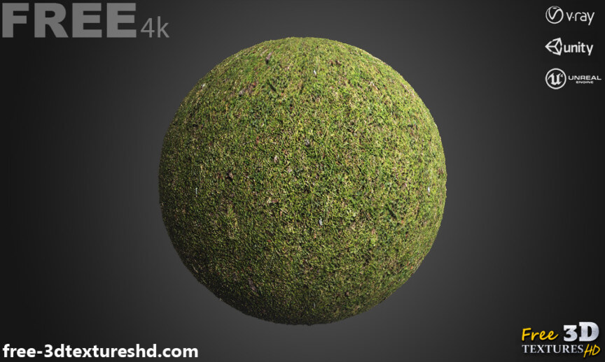 Grass-ground-3D-textures-PBR-High-Resolution-Free-Download-4K-unity-unreal-vray-render