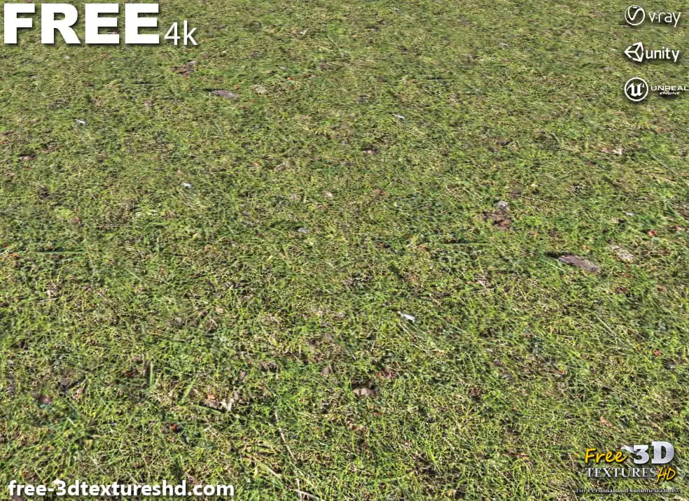 Grass Ground Seamless 3D Texture PBR in High Resolution Free Download ...