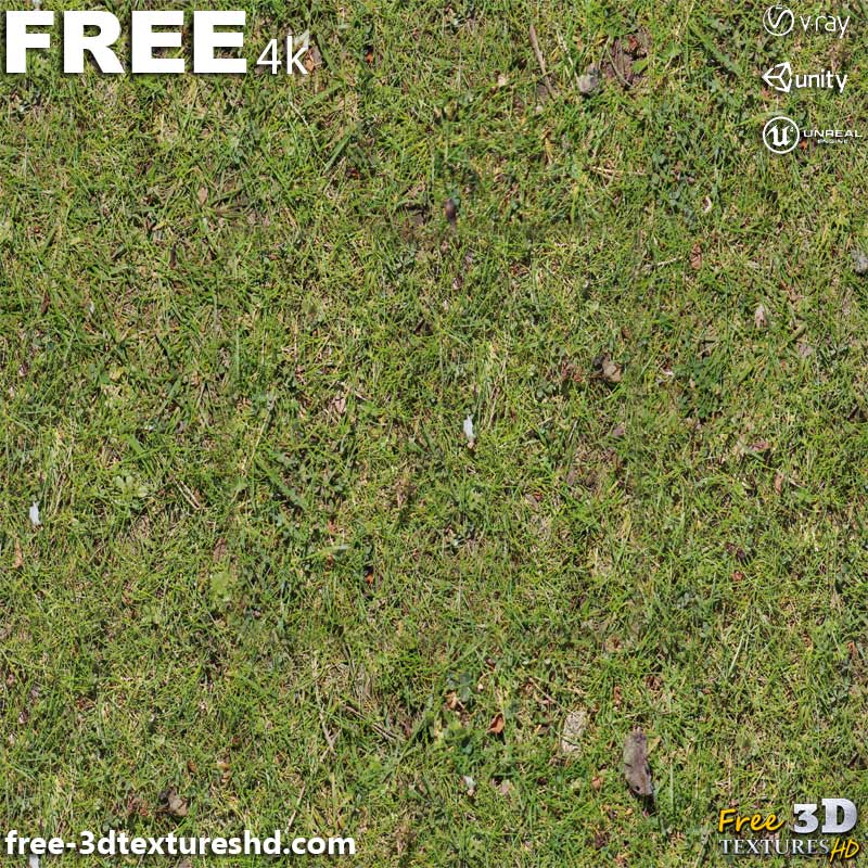 Grass-ground-3D-textures-PBR-High-Resolution-Free-Download-4K-unity-unreal-vray-render-map