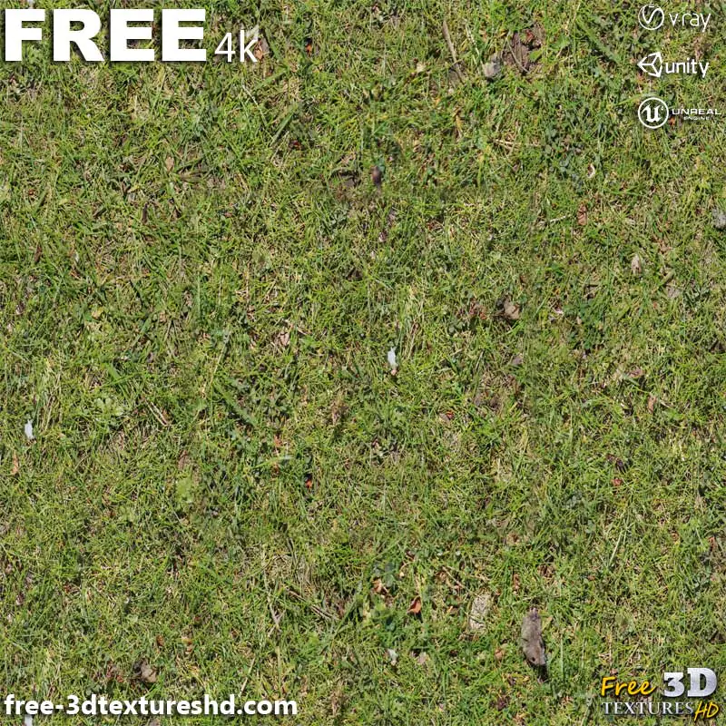 Grass Ground Seamless 3D Texture PBR in High Resolution Free Download ...