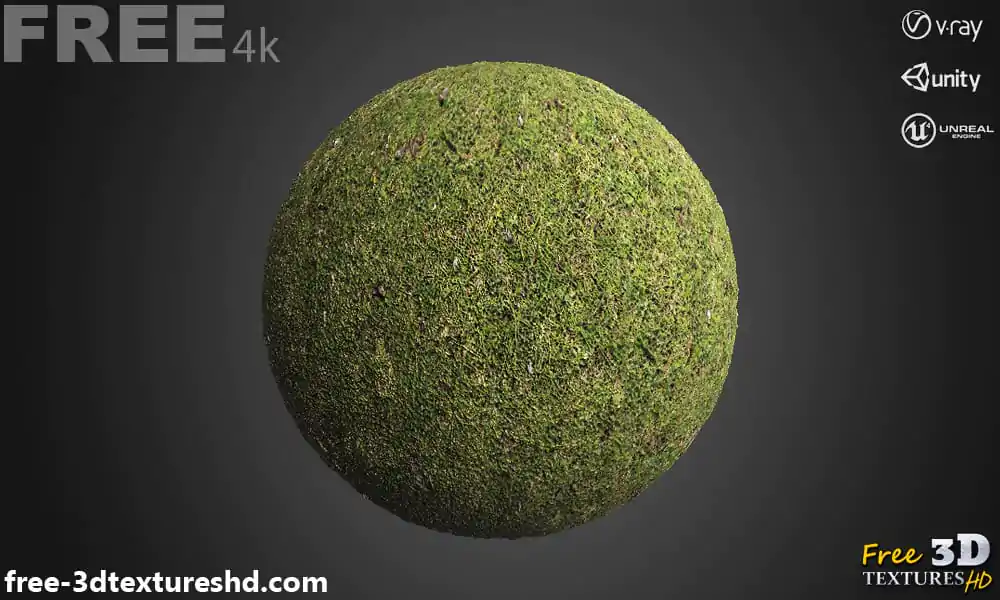 Grass Ground Seamless 3D Texture PBR in High Resolution Free Download ...