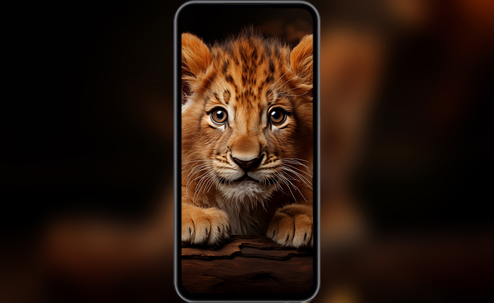 baby lion cub ultra HD 4K wallpaper background for Desktop laptop iphone and Phone free download