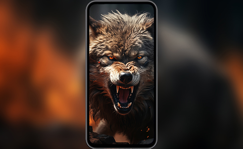 angry wolf ultra HD 4K wallpaper background for Desktop and Phone free download